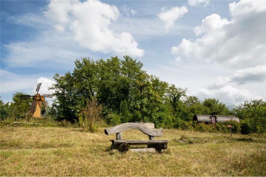 Le Chalet Du Chemin Et Sa Roulotte Berviller-en-Moselle Exterior foto