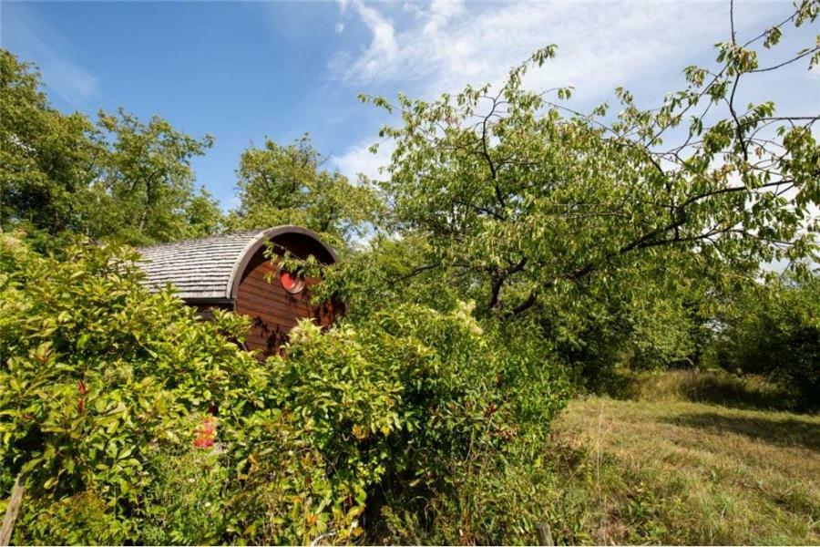 Le Chalet Du Chemin Et Sa Roulotte Berviller-en-Moselle Exterior foto